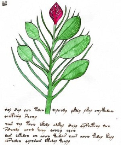 Văn bản mà giáo sư Gordon Rugg sáng tạo ra dựa trên cuốn sách Voynich.