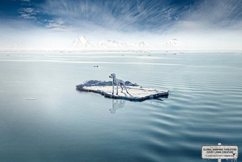 Bằng cách miêu tả hình ảnh một con vật nuôi gần gũi với chúng ta - chú chó đang bơ vơ trên một tảng băng trôi lững lờ, tác giả của tấm poster muốn cho thấy rằng, sự nóng lên toàn cầu không chỉ ảnh hưởng đến các động vật hoang dã ở vùng xa xôi mà còn tác động đến cuộc sống hàng ngày của mỗi chúng ta. Thông điệp của poster này muốn gửi gắm là: 