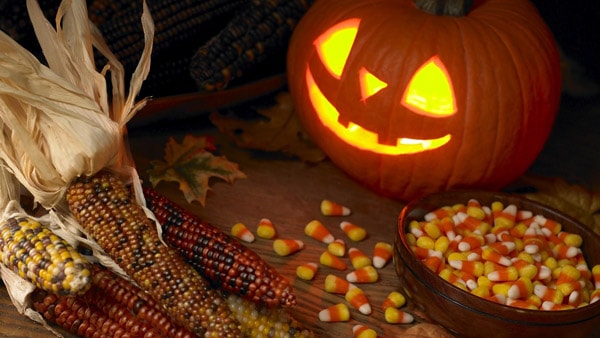 Thay áo Halloween cực kool cho desktop
