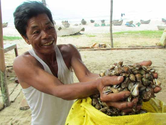 Ốc nhảy đang mang lại thu nhập cao cho ngư dân xã Đức Minh.