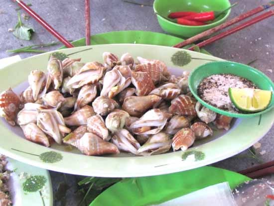 Ốc nhảy ngon nhất là hấp với sả.