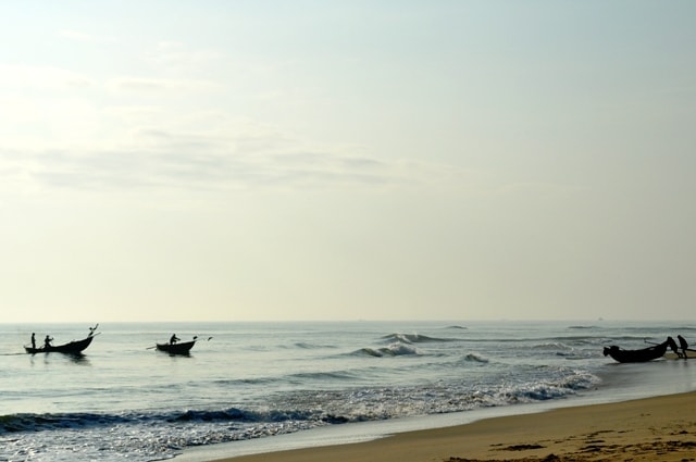 Những cây 