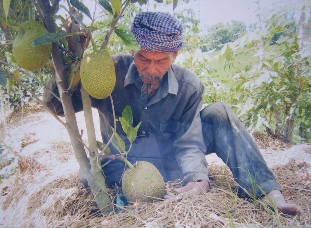 Niềm vui “miệt vườn” của Anh hùng Nguyễn Văn Bảy
