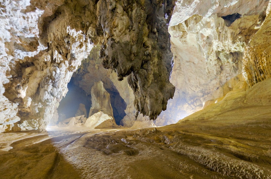 Ảnh chụp lại từ National Geographic