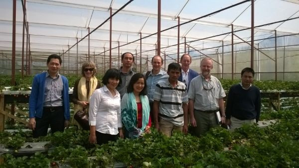 Nguyễn Thanh Trúc (áo sọc, đứng giữa) và các chuyên gia Hà Lan tại vườn dâu Tùng Nguyên.