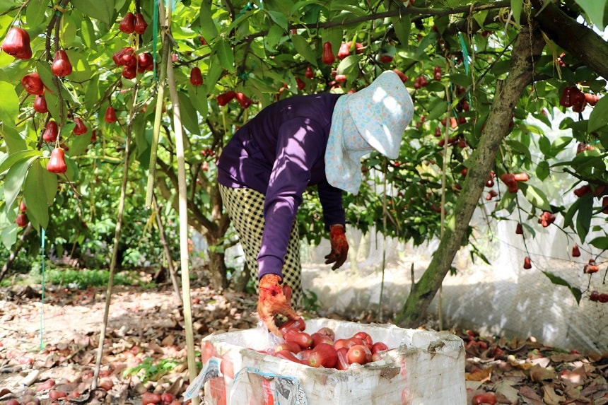 Anh_2_-_Trong_man_sach_bang_phuong_phap_trum_mung_nen_ban_gia_cao_hon_man_thong_thuong