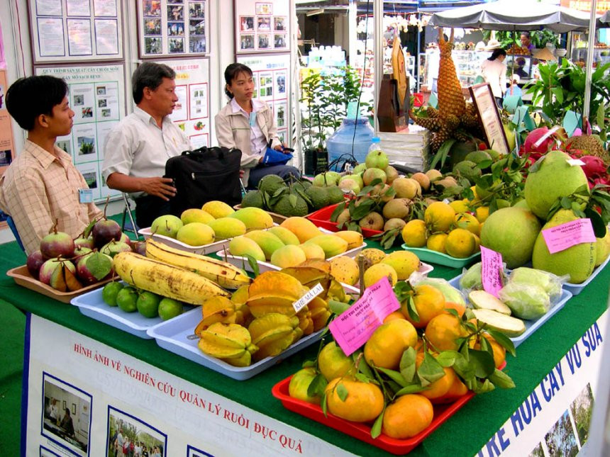 Cần nhiều giải pháp phát triển thị trường để tiêu thụ trái cây ngon vùng đồng bằng sông Cửu Long - Ảnh: T.L