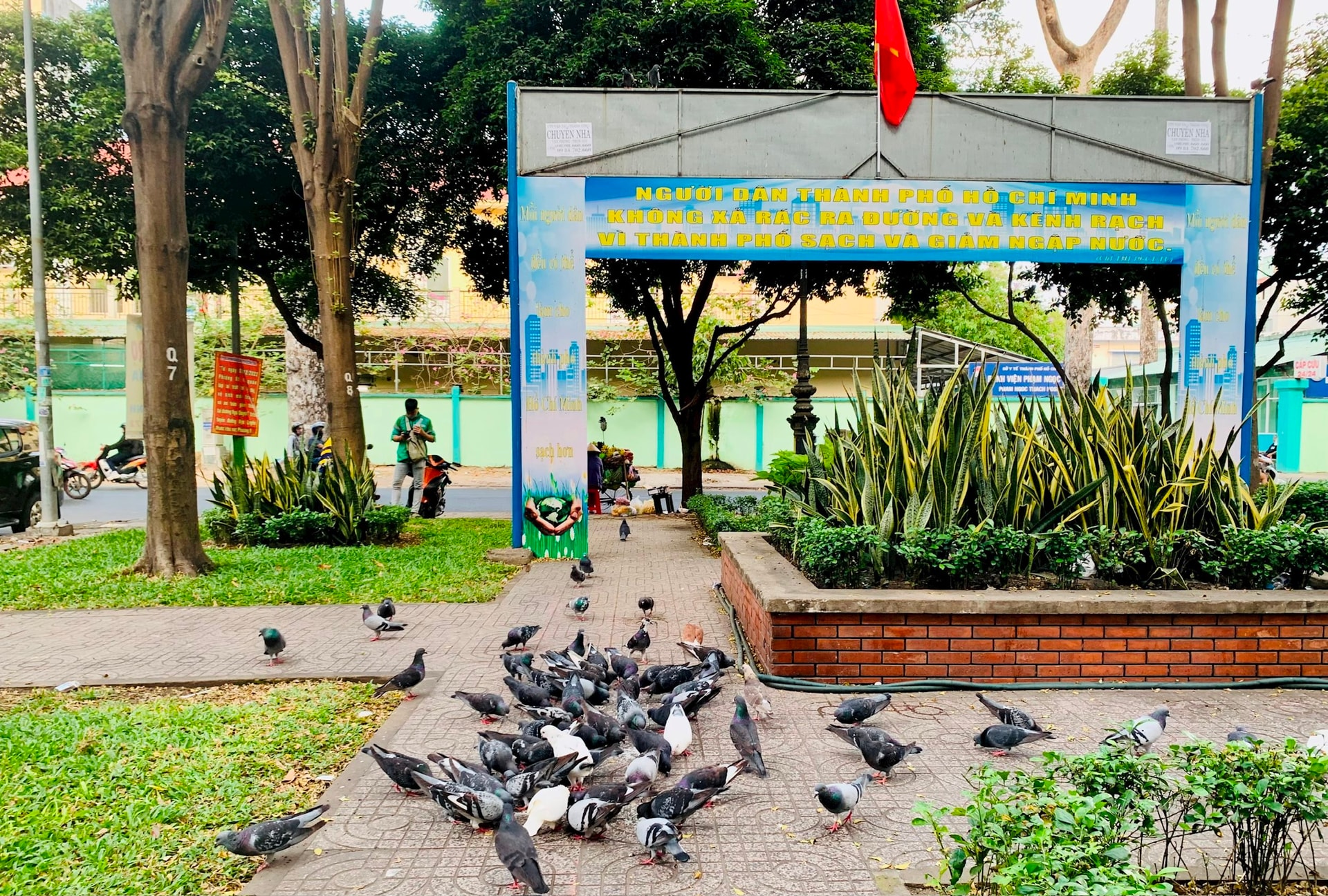 bao-ve-moi-truong-tphcm.jpg