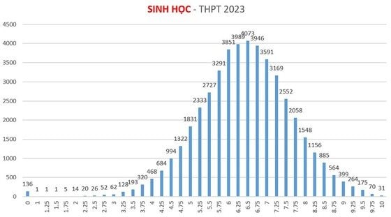 hcmtn6.jpg
