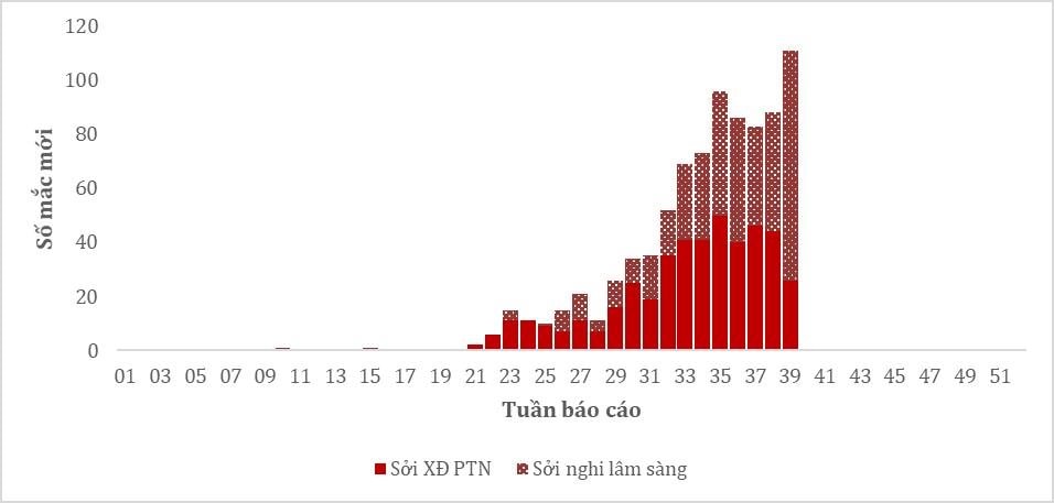 soi2.jpg