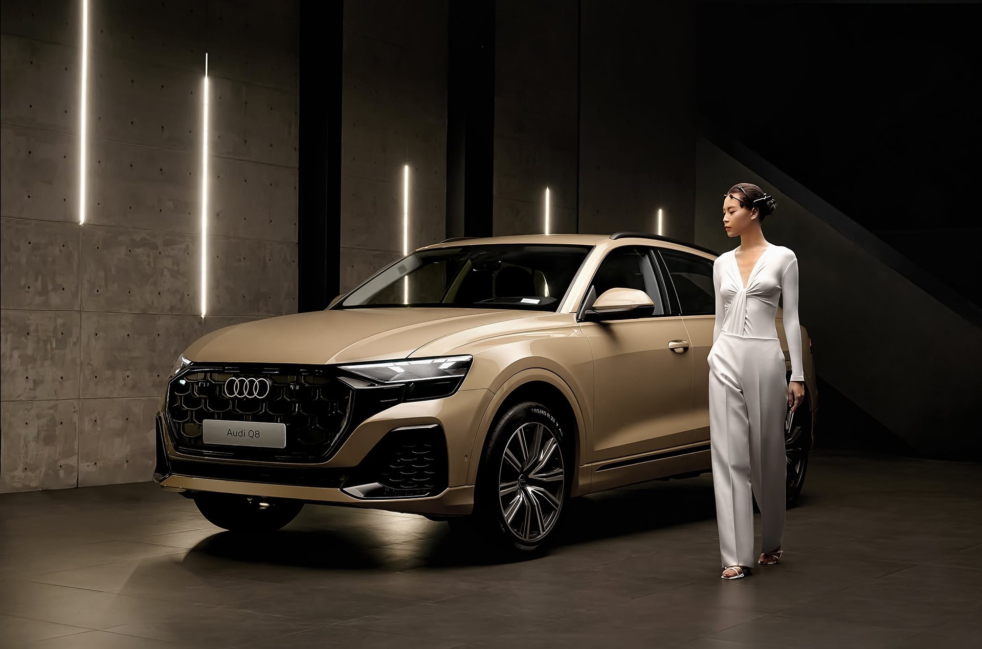 11-11-audi-q80844.jpg