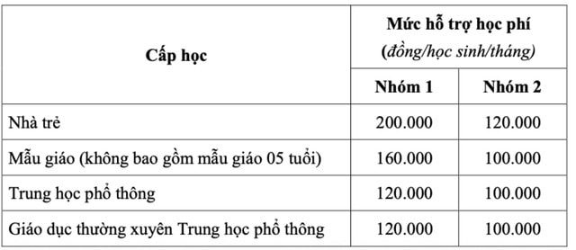 TPHCM miễn học phí cho học sinh tất cả các cấp- Ảnh 2.