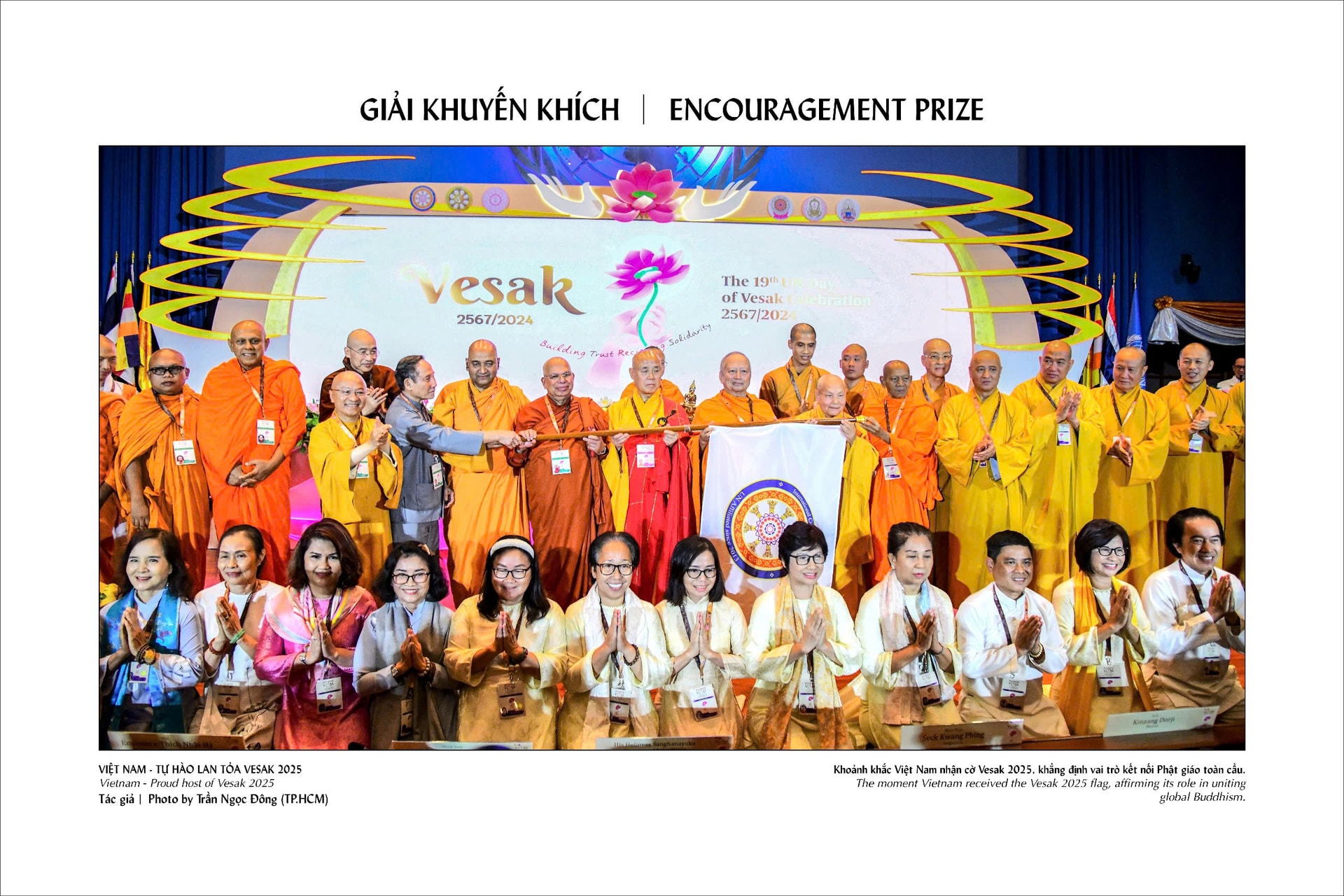 p7.jpg
