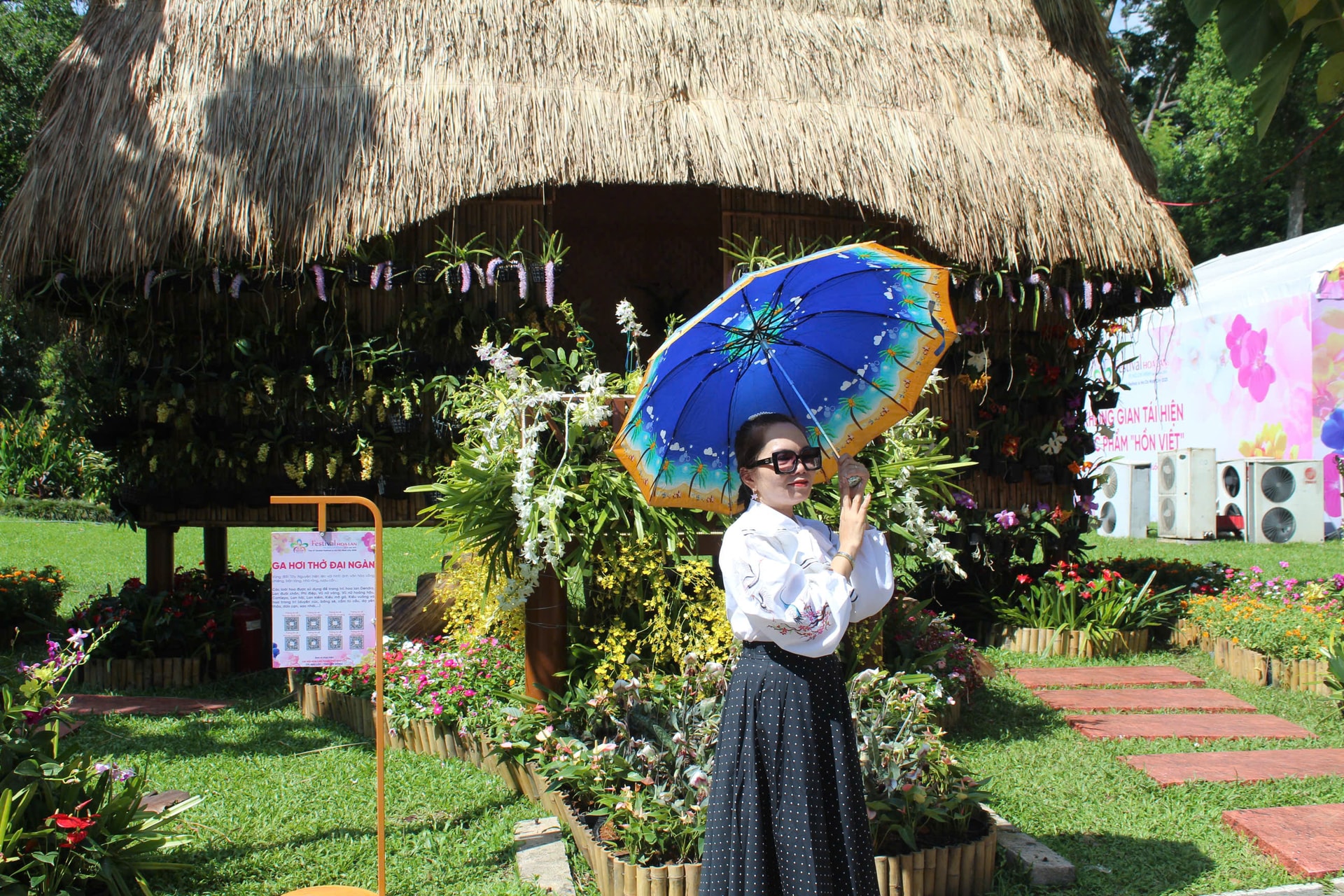 festival-hoa-lan-tphcm-3.jpg