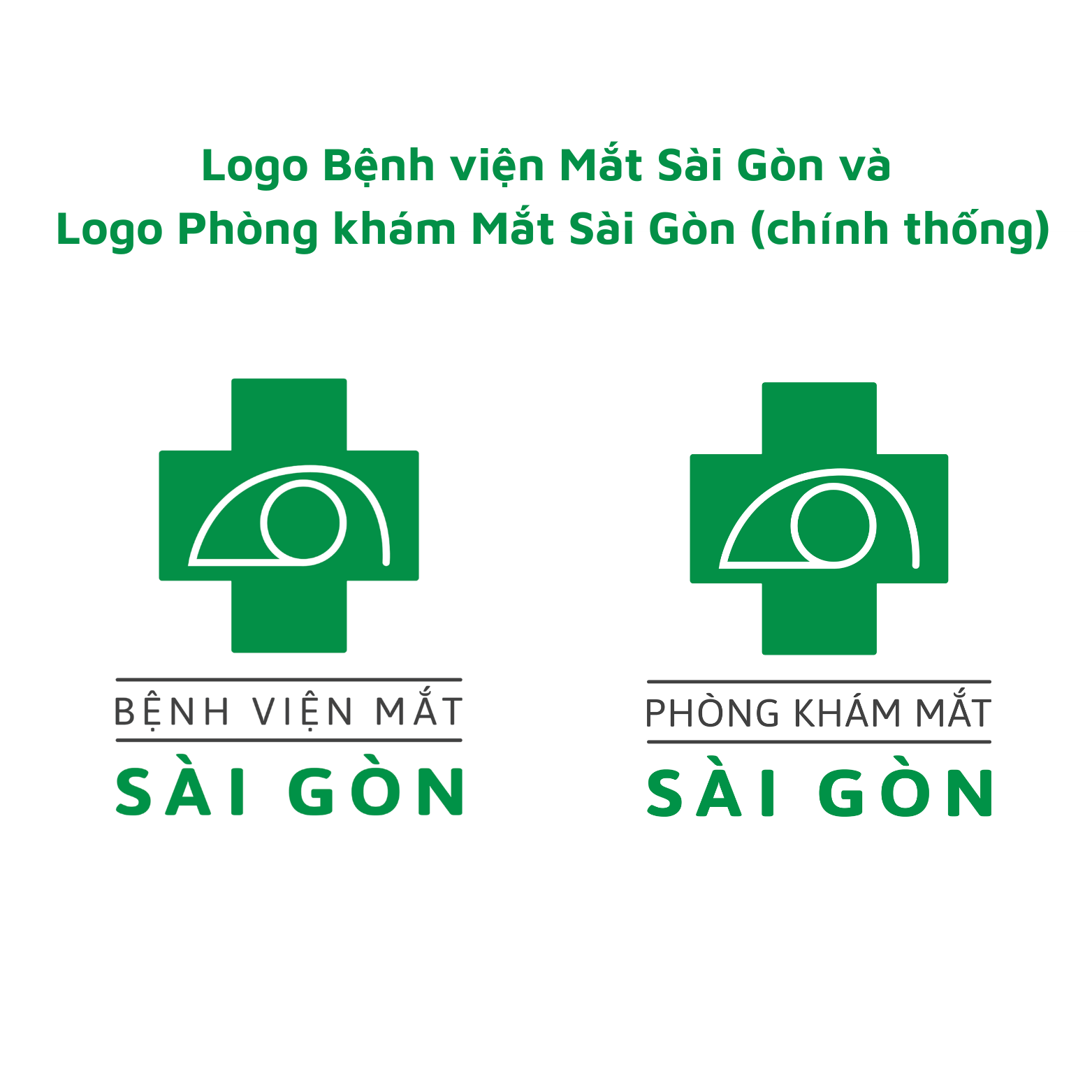 logo-bv-mat-sg.png