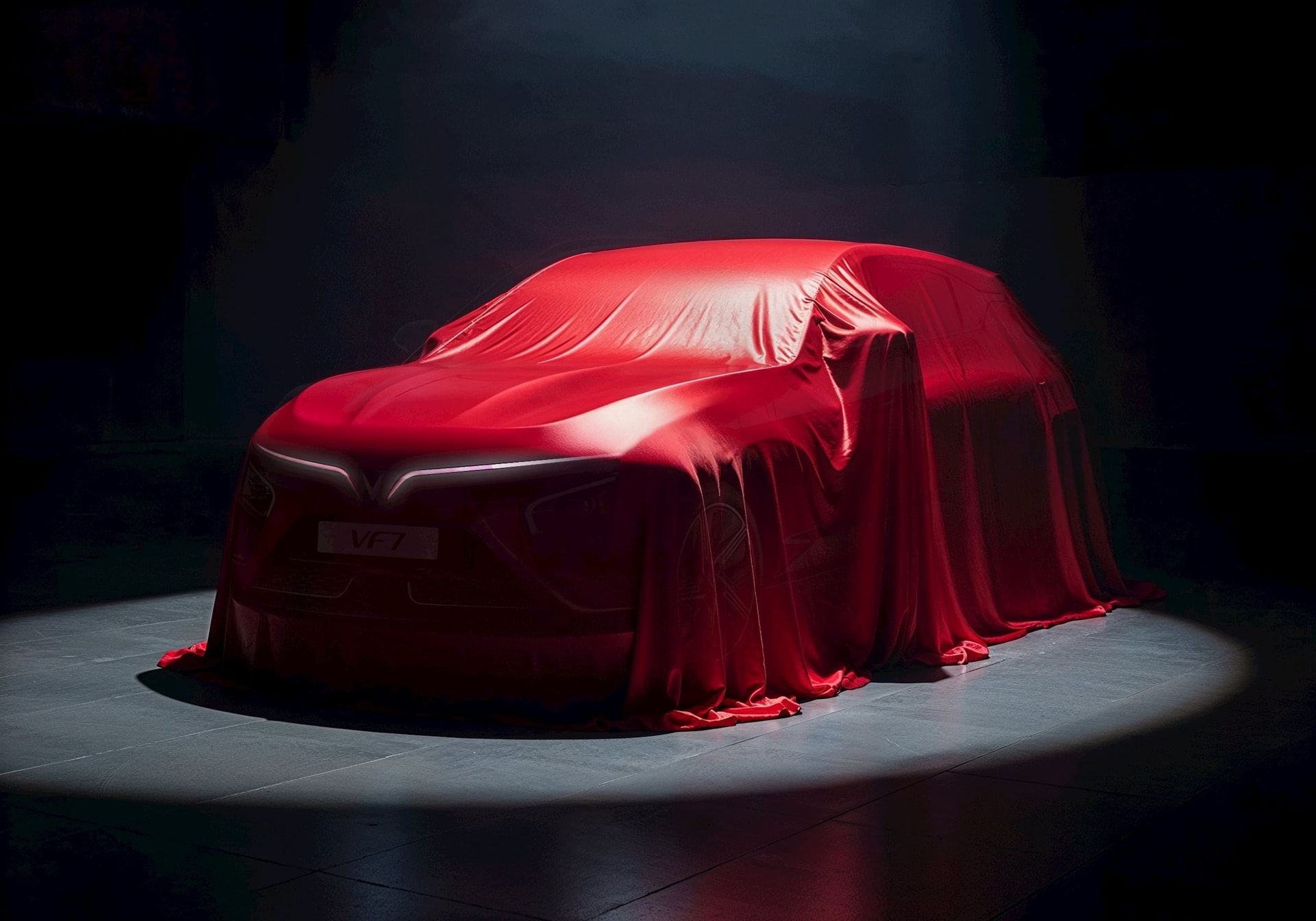 vfid-vinfast-tro-lai-giias-2025.jpg