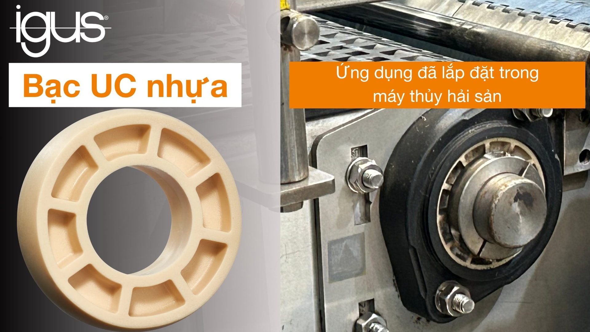 bac-nhua-igus-chia-khoa-giai-quyet-nut-that-cong-nghe.jpg