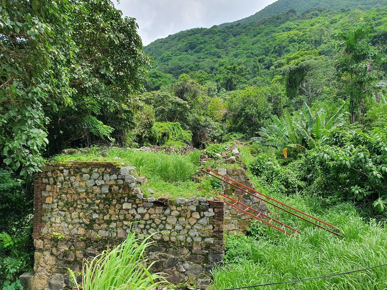condao1.jpg