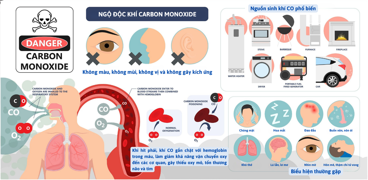 ngo-doc-co.png