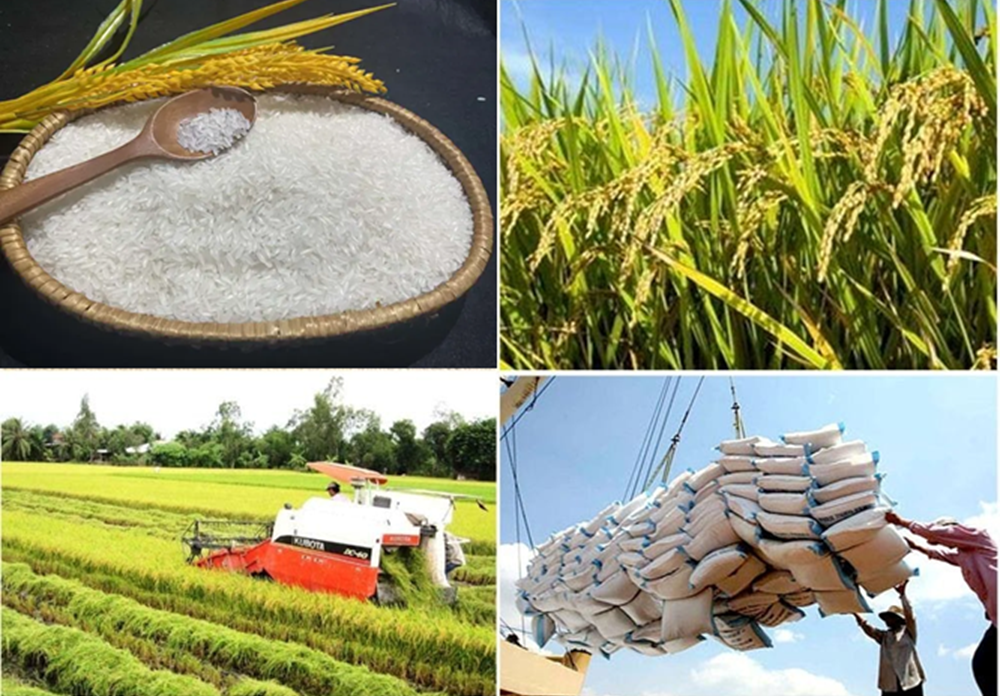 nong-nghiep-xanh-1.png