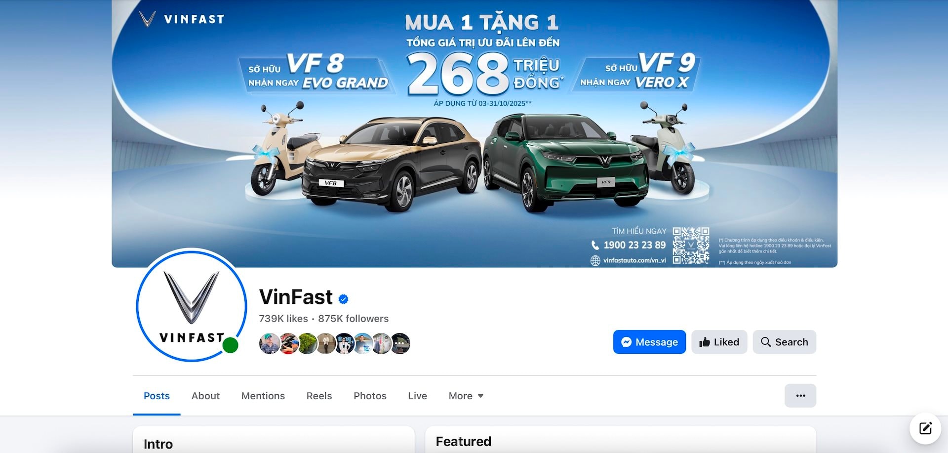 canh-bao-lua-dao-mao-danh-fanpage-vinfast-2.jpg