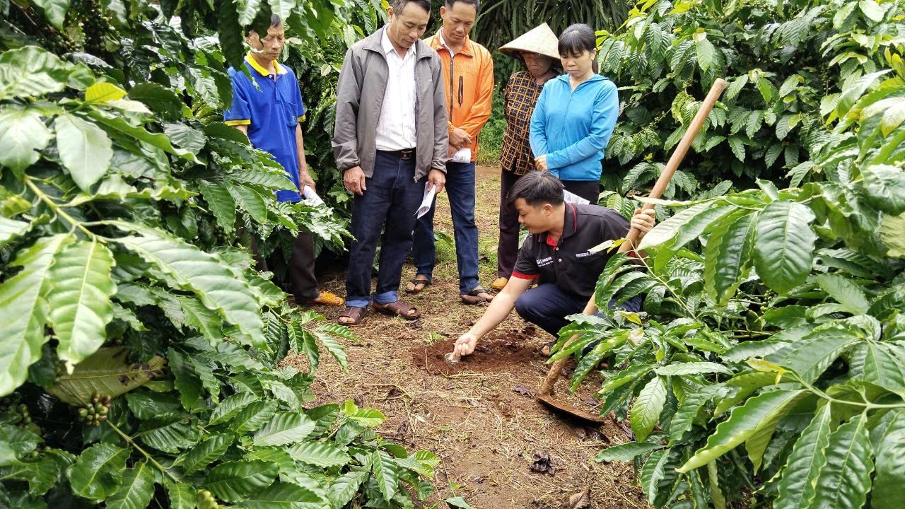 nestle-dang-trien-khai-nhieu-chuong-trinh-ho-tro-nong-dan-trong-ca-phe-theo-huong-canh-tac-ben-vung.jpg