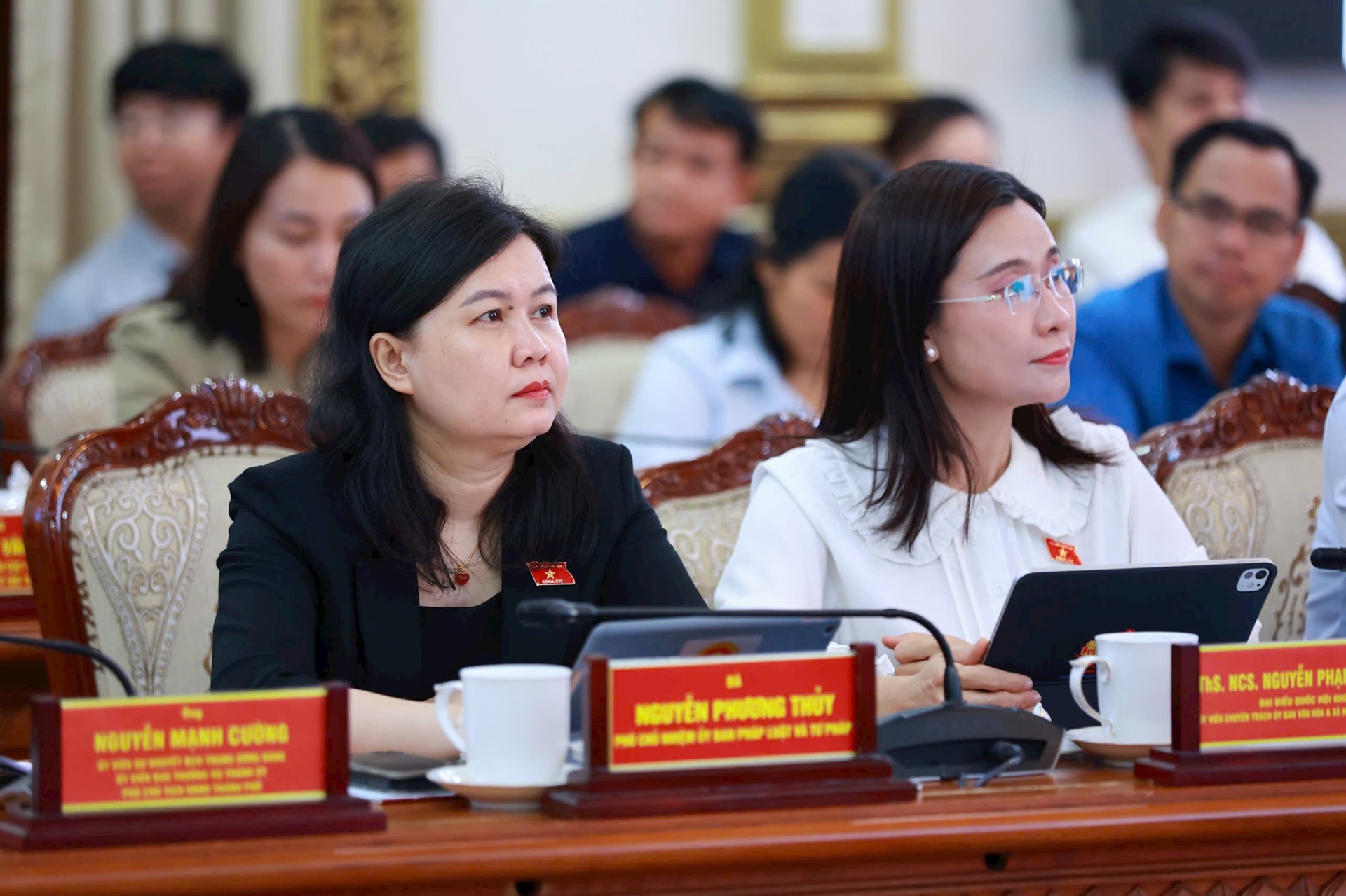 dai-bieu-tham-du-1.jpg