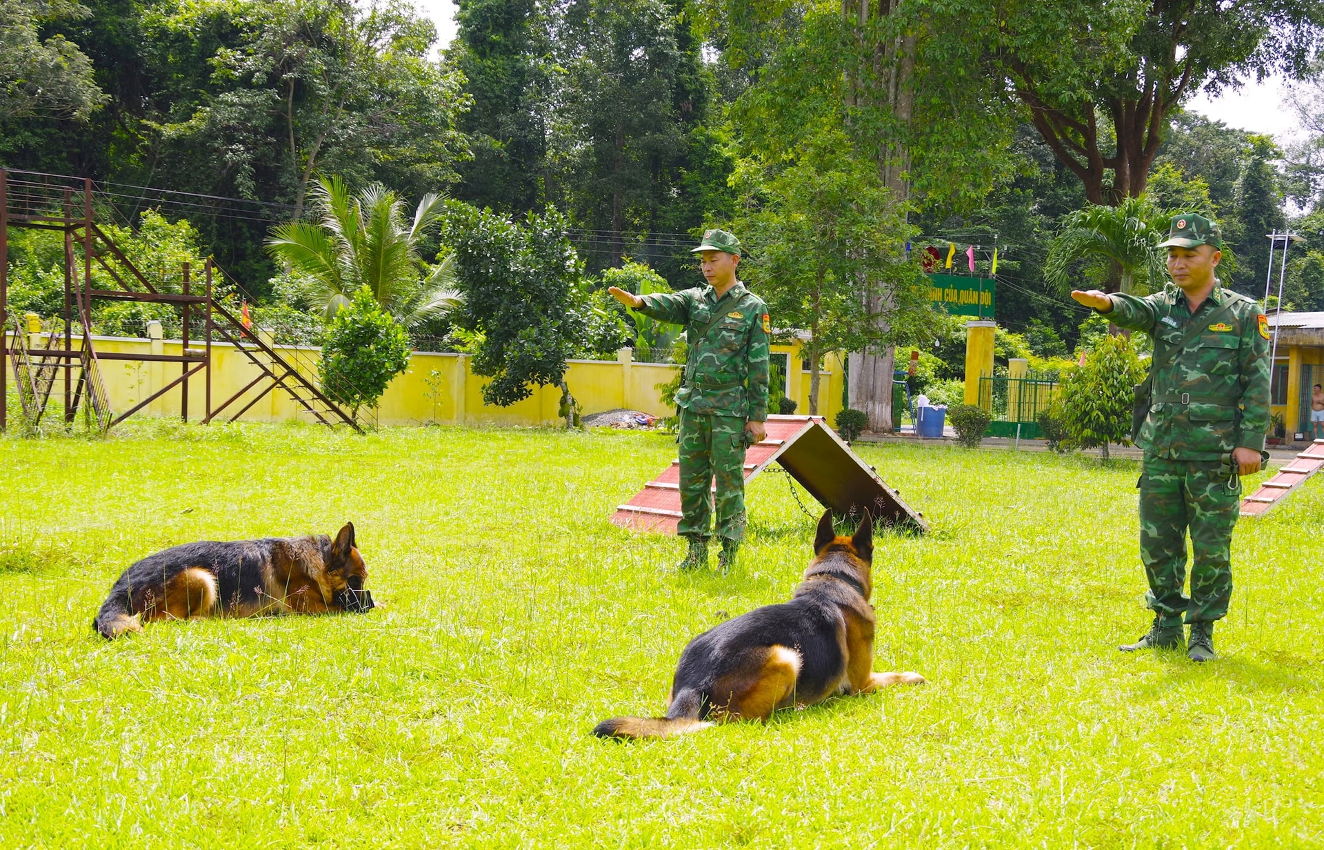 anh-2-huan-luyen.jpg