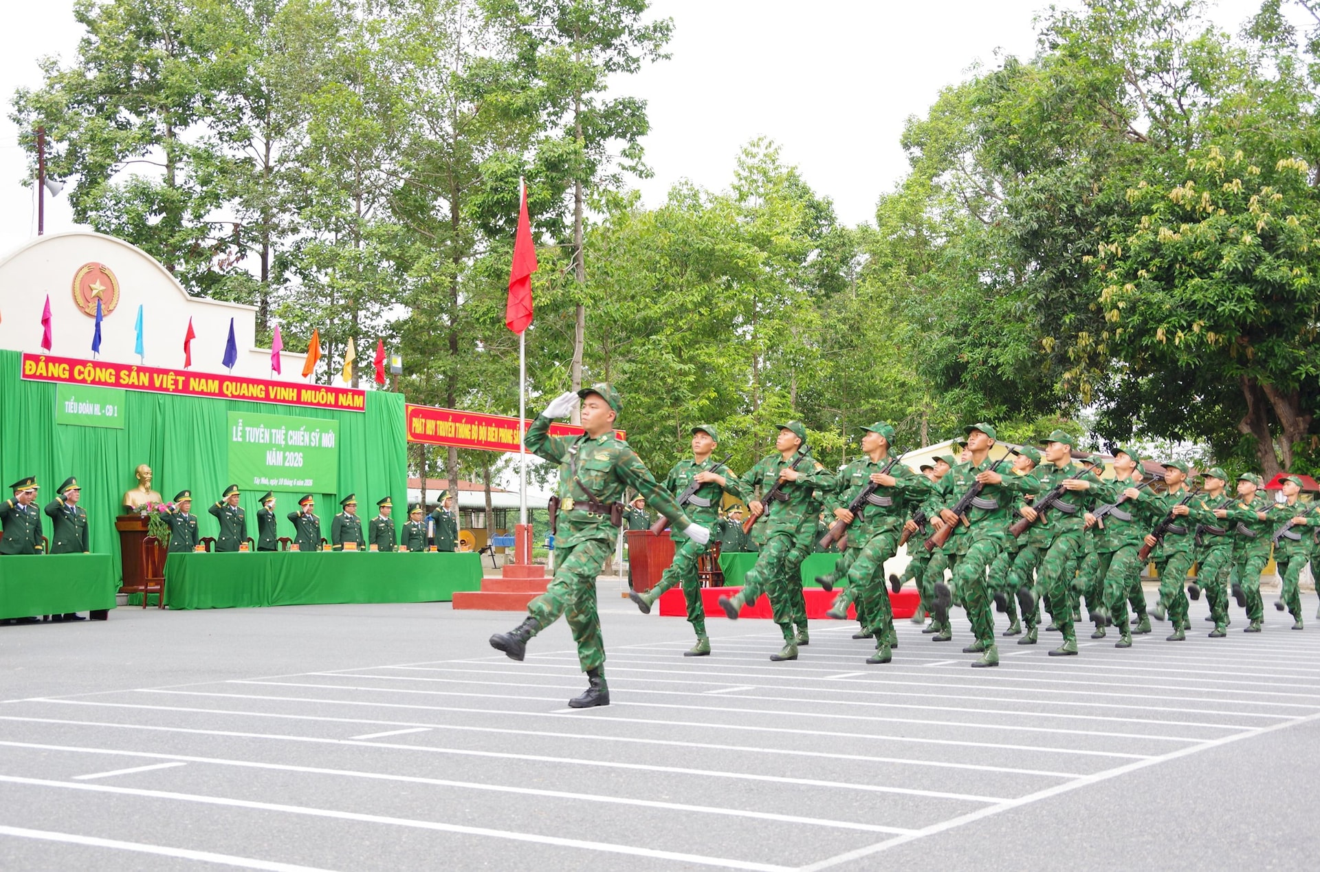 tn-3.jpg
