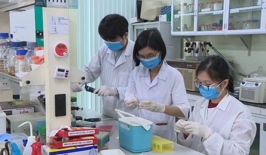 Thúc đẩy ứng dụng, chuyển giao tiến bộ khoa học và công nghệ vào sản xuất