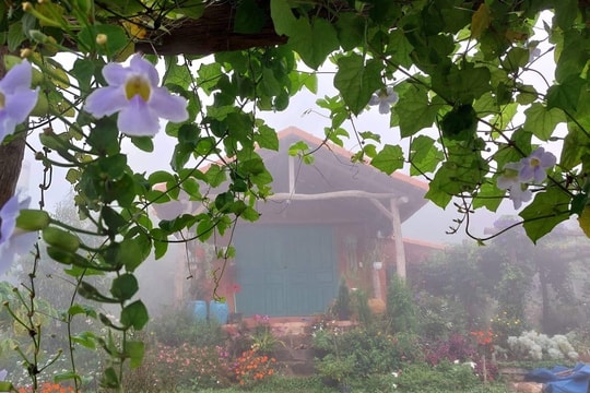 Thảnh thơi giữa thiên nhiên