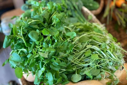 Nhiều người Việt không biết những loại rau mình thường ăn có thể chứa cả 'ổ sán'