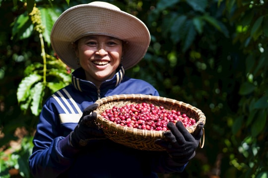 Nestlé thúc đẩy nền nông nghiệp phát thải thấp