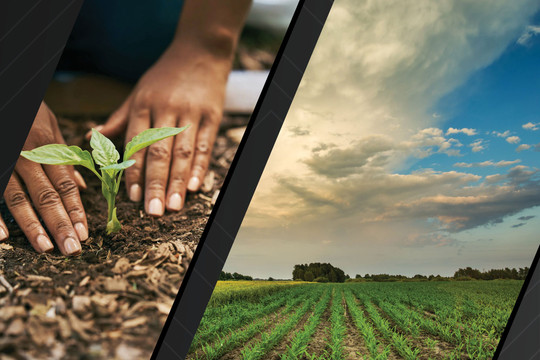 5 công nghệ điểm nhấn giúp nông nghiệp phát triển bền vững