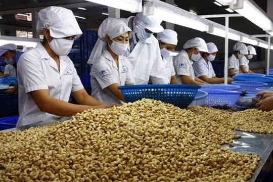 Nông sản, thực phẩm chế biến Việt Nam có mặt trên 180 quốc gia