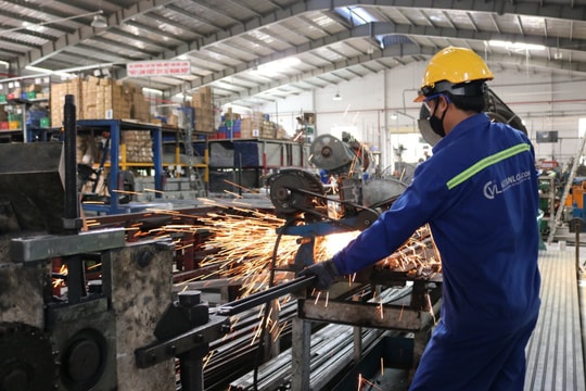TPHCM ưu tiên mọi điều kiện cho nhà đầu tư hoạt động