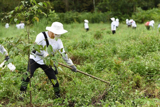 L’Oréal Việt Nam “trồng rừng cho tương lai” tại Vườn Quốc gia Cát Tiên