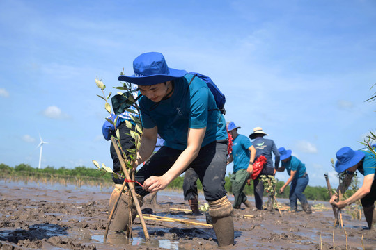 Aqua Việt Nam góp sức bảo vệ rừng ngập mặn