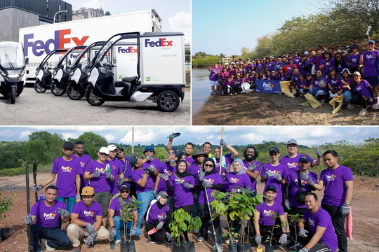 Những nỗ lực phát triển bền vững của FedEx mang lại tác động tích cực cho cộng đồng