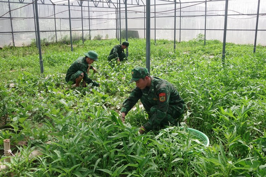 Tăng gia sản xuất cải thiện đời sống cho bộ đội