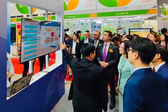 Vietnam FoodExpo 2024 quy tụ hơn 500 gian hàng thực phẩm