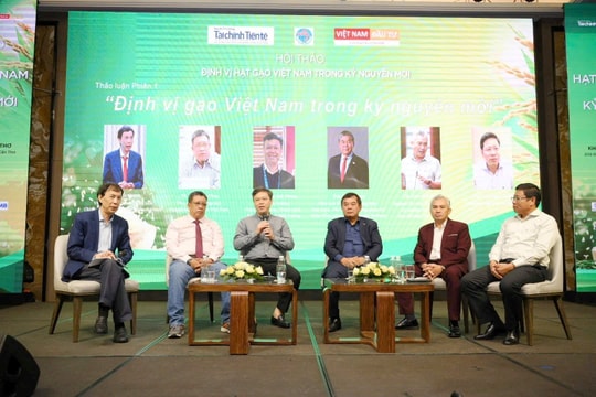 Chiến lược phát triển hạt gạo Việt Nam trong kỷ nguyên vươn mình