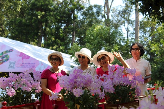 39.000 sản phẩm hoa lan rực rỡ khoe sắc tại Festival hoa lan TP.HCM