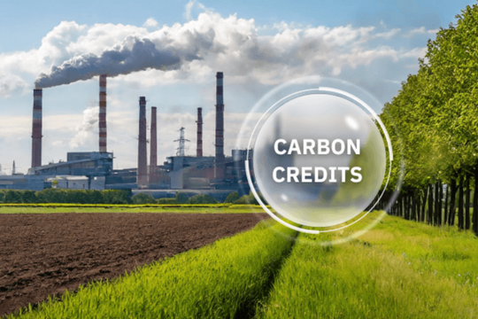Thị trường tín chỉ carbon: Kinh nghiệm từ Trung Quốc và hướng đi cho Việt Nam