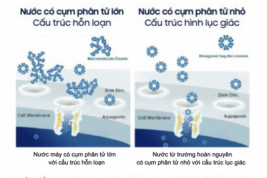 Nước từ trường hoàn nguyên: Kỳ vọng từ y học tới nông nghiệp, công nghiệp nặng và xây dựng