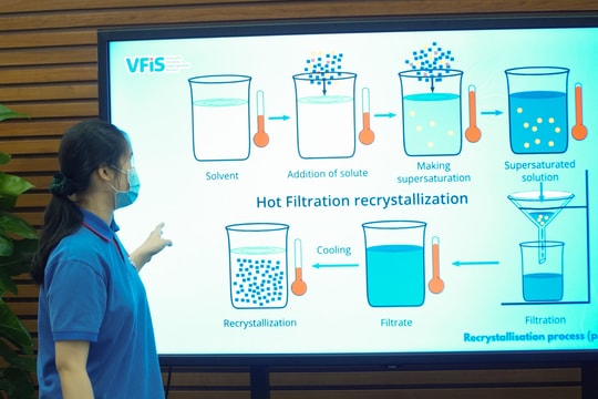 Học sinh thúc đẩy đổi mới sáng tạo vì một tương lai tốt đẹp hơn