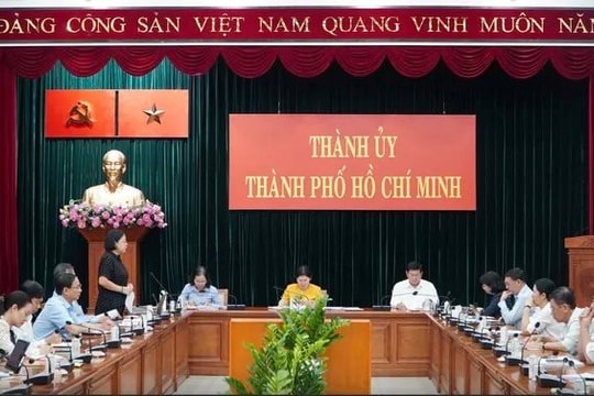 TP.HCM chuẩn bị vận hành thử nghiệm mô hình chính quyền địa phương 2 cấp