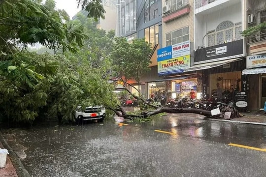 TP.HCM tập trung ứng phó, chủ động phòng chống thiên tai trong thời gian tới