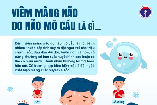 Dịch bệnh mùa hè: Chủ động nhận biết viêm màng não do não mô cầu