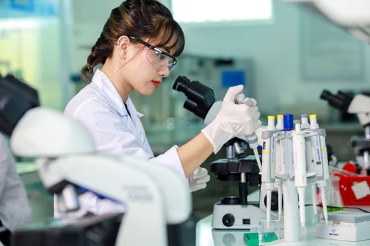 Công bố ngưỡng đảm bảo đầu vào nhóm ngành sức khỏe, giáo viên năm 2025